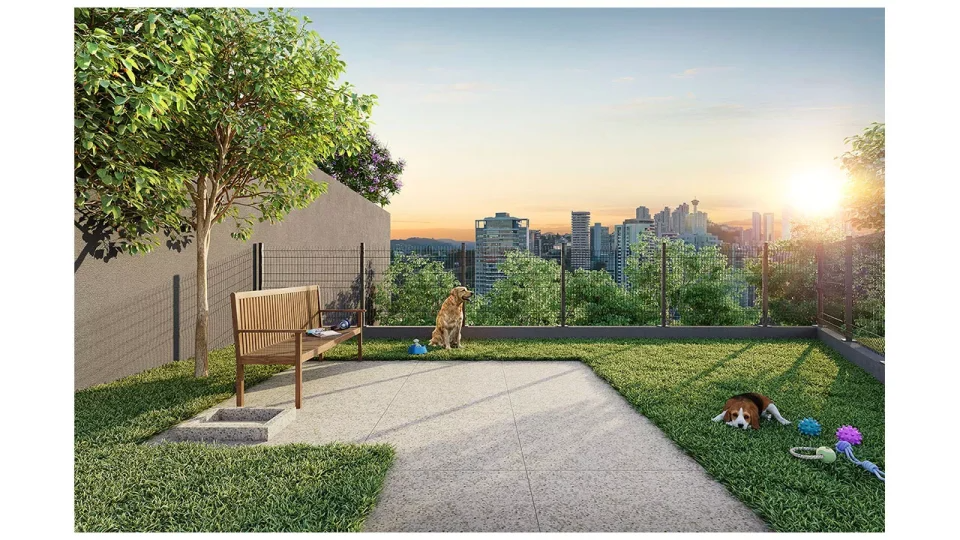 imgi_47_41-pet-place-960x540