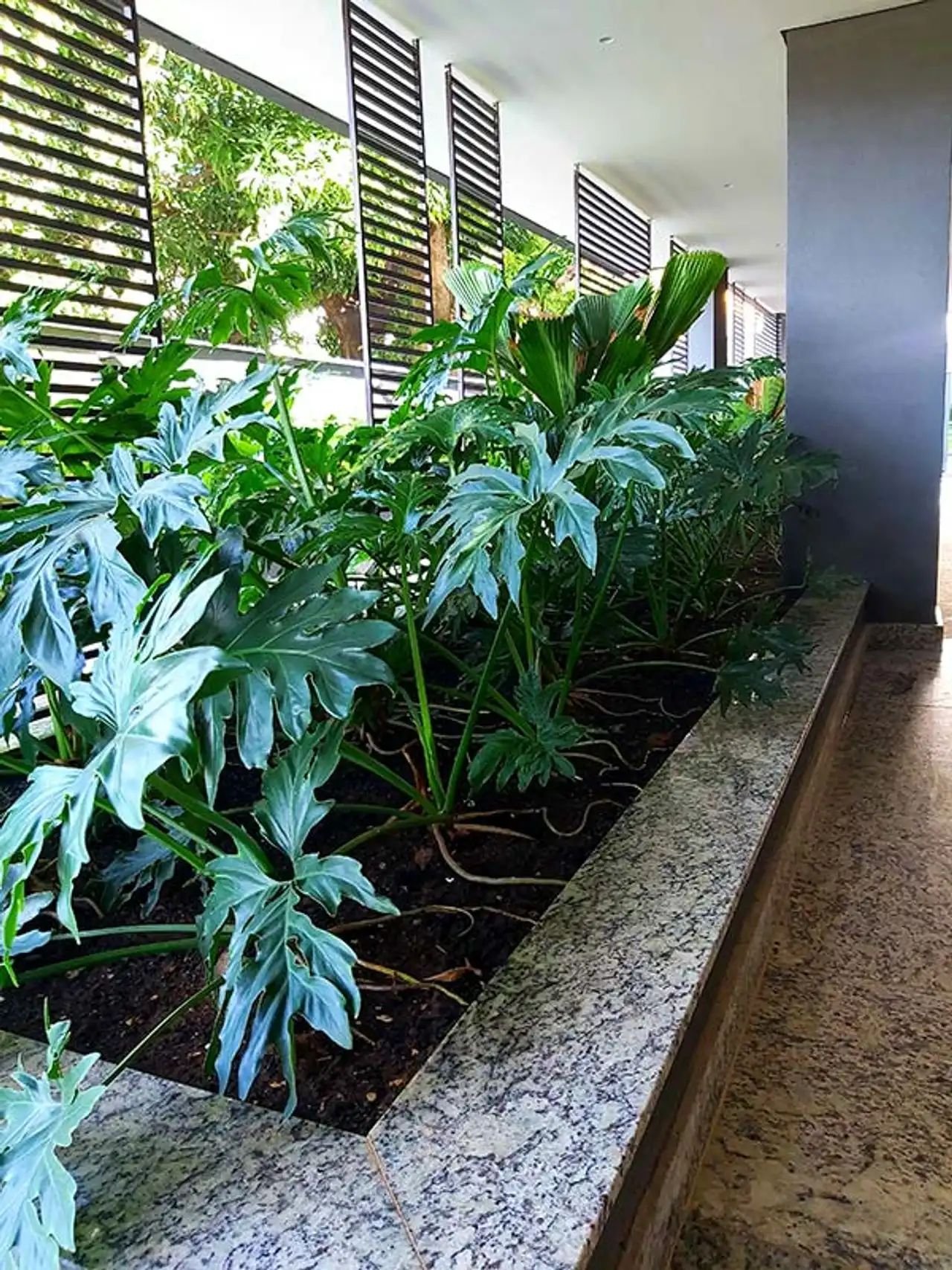 Revenda Imoveis MG - Apartamentos de 2 e 3 Quartos no Sagrada Familia - Vistas - Paisagismo